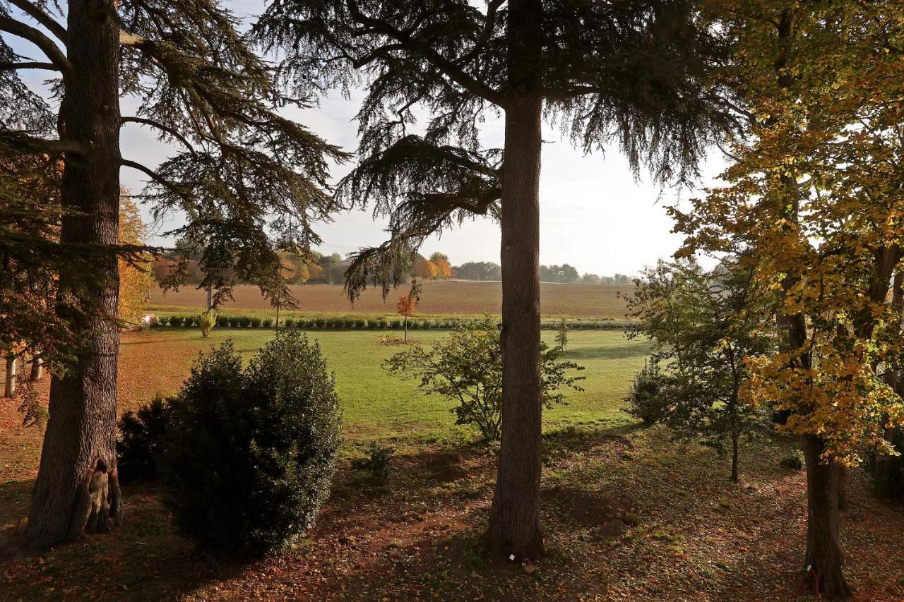 Chateau Du Go Albi Buitenkant foto
