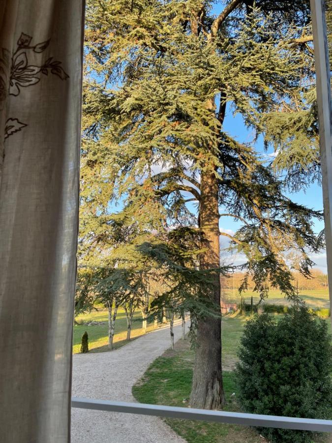Chateau Du Go Albi Buitenkant foto